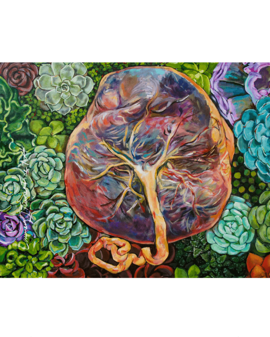 Succulent Placenta