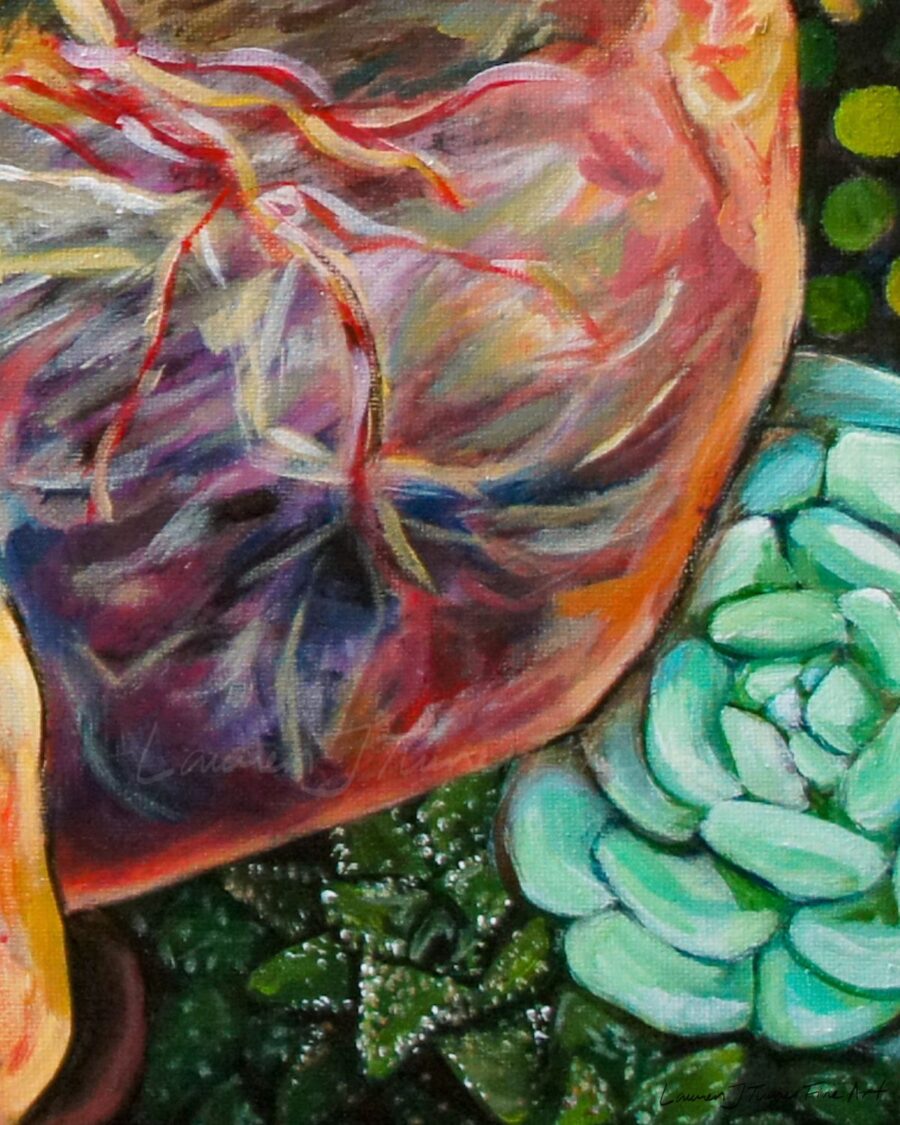 Succulent Placenta - Image 2