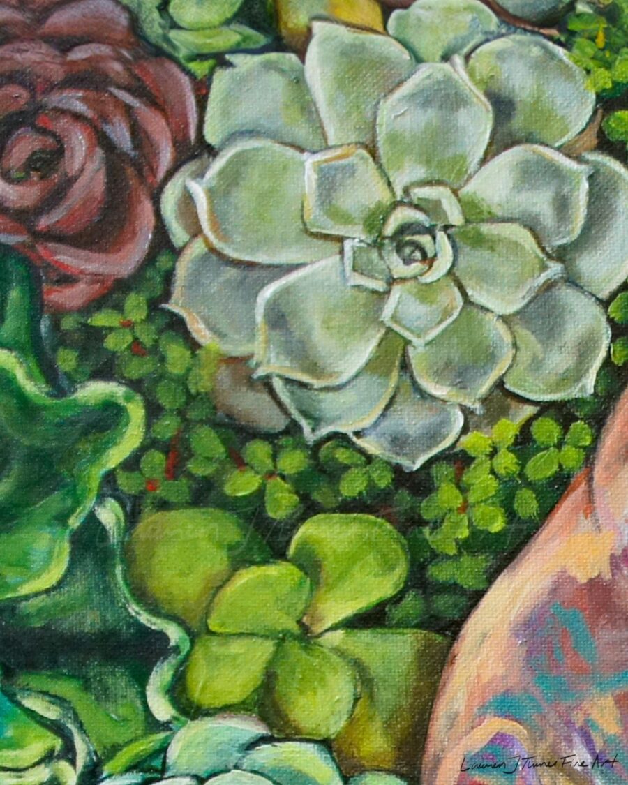 Succulent Placenta - Image 3