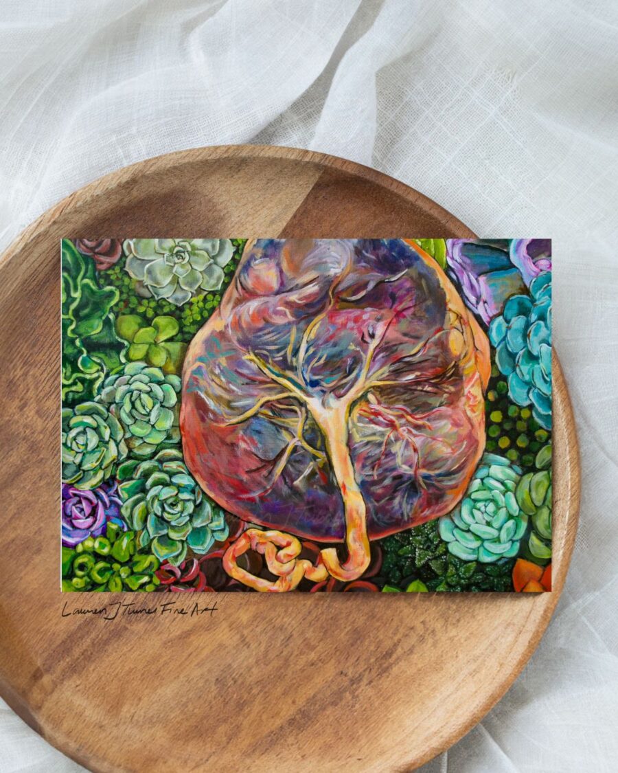 Succulent Placenta - Image 4