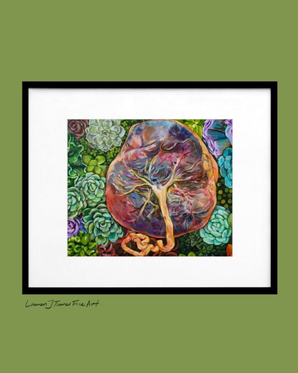 Succulent Placenta