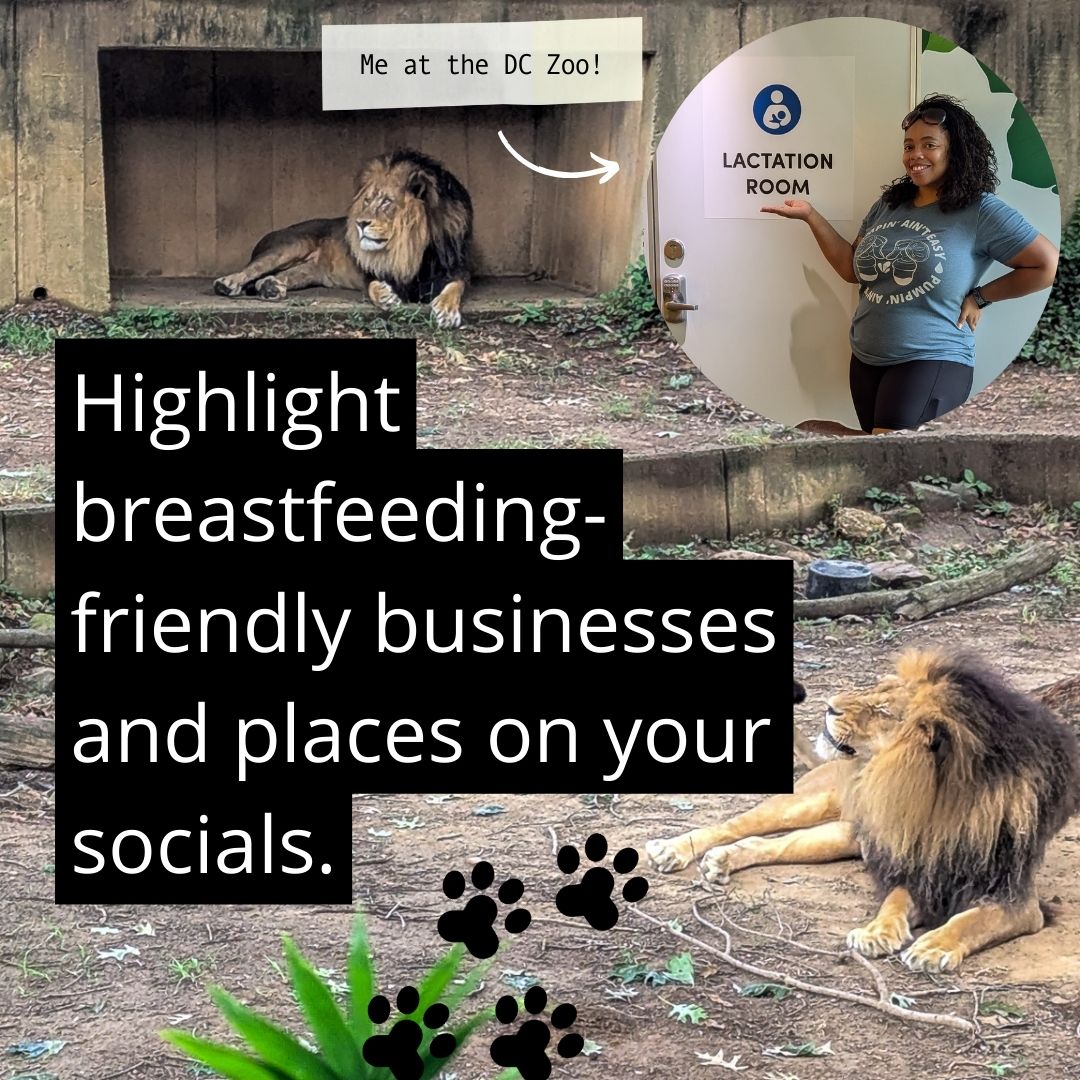 20 Ways a lactation advocate could celebrate National Lactation Month: Big or gently