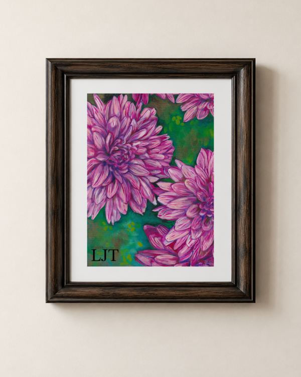 Hardy Chrysanthemums