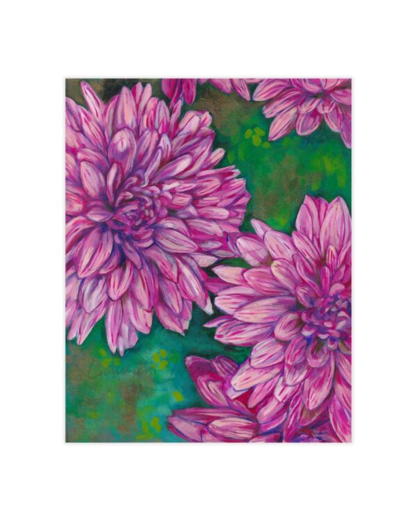 Hardy Chrysanthemums