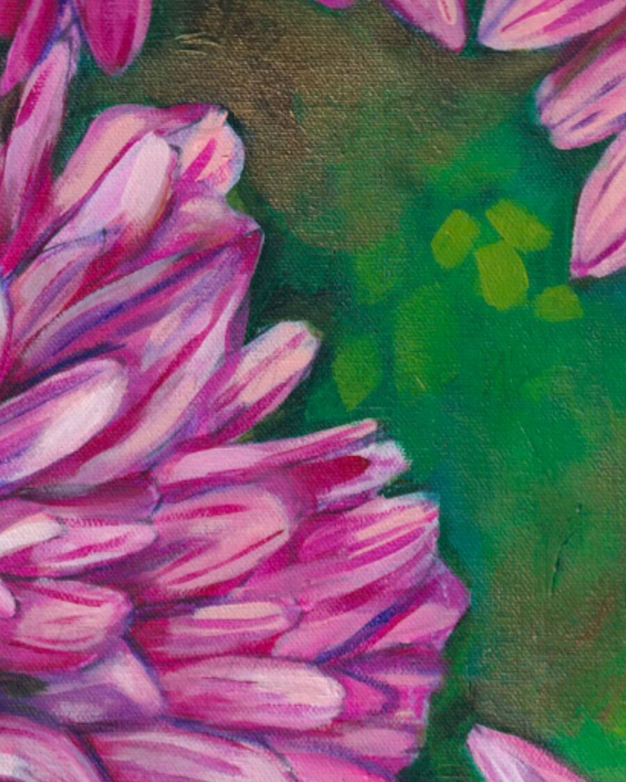 Hardy Chrysanthemums - Image 4