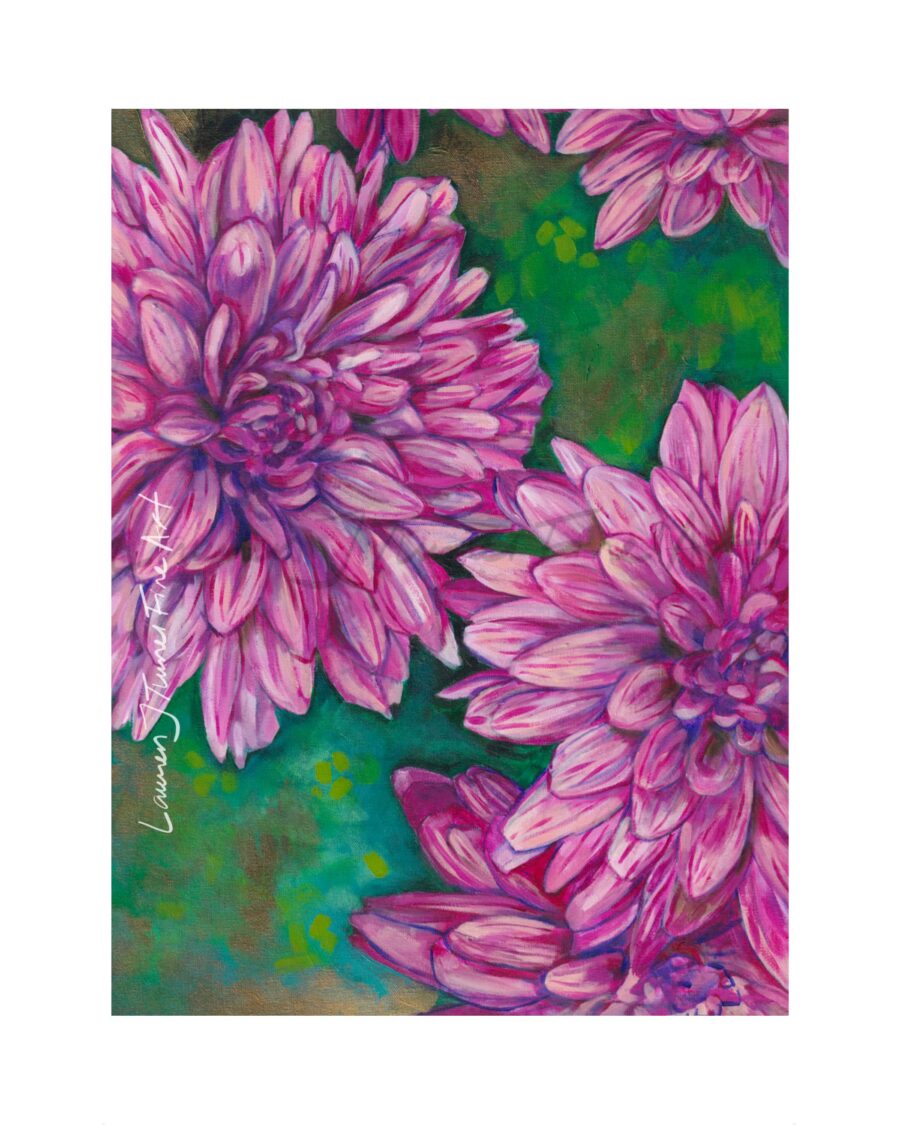 Hardy Chrysanthemums