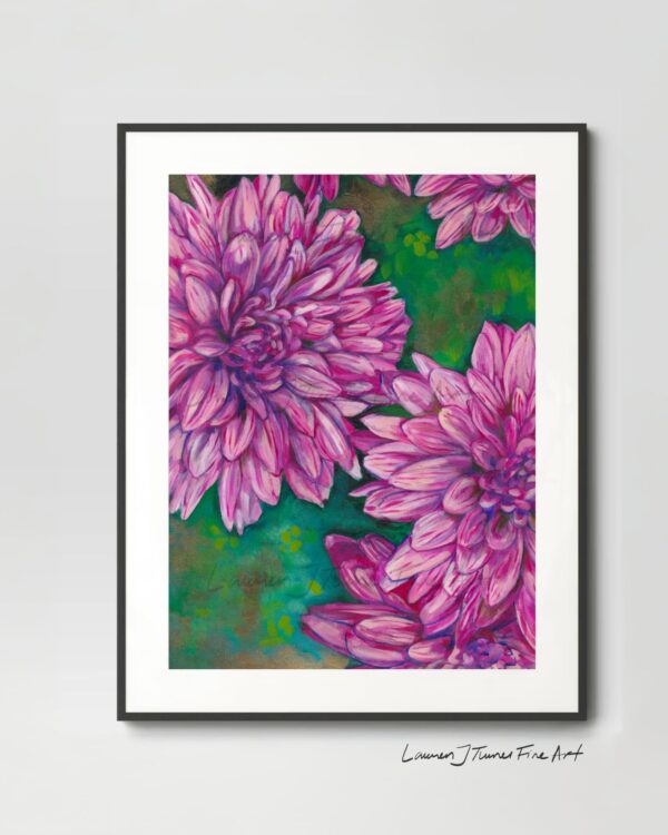Hardy Chrysanthemums