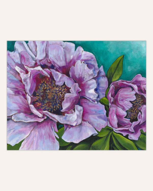 Peonies in Pink