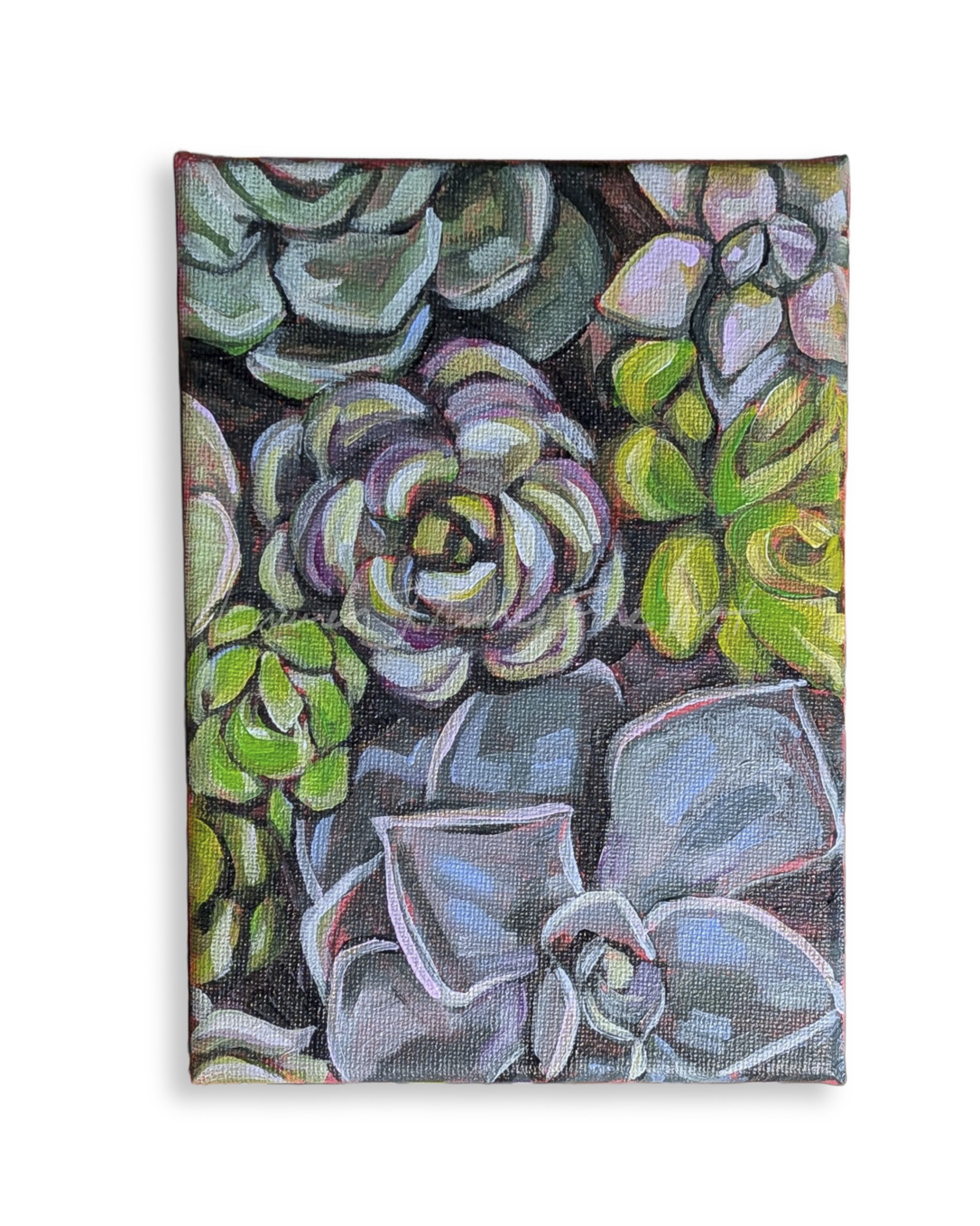 Original Painting: Mini Succulents