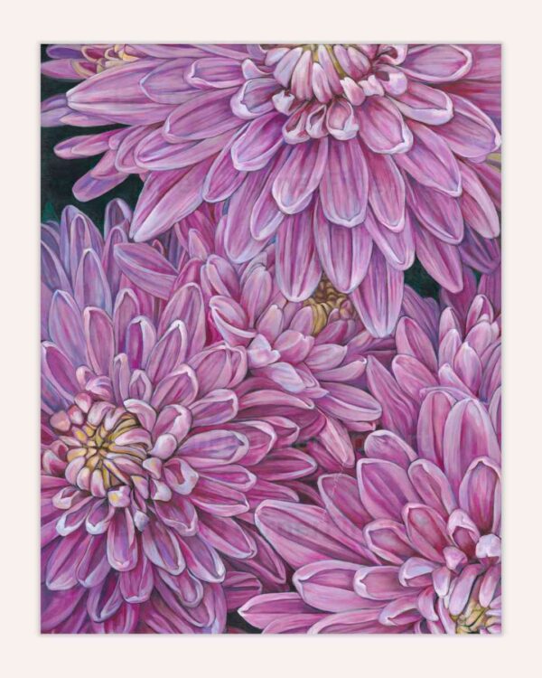 Chrysanthemum Symphony